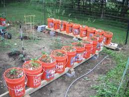 The Home Depot 5 Gal Homer Bucket 05glhd2 The Home Depot Diy Container Gardening Bucket Gardening Container Gardening Vegetables