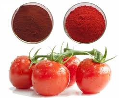 China Bulk Tomato Lycopene Extract Powder Manufacturers Suppliers Factory -  YanggeBiotech