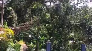 There is a small road bring you up to this camping area. Kem Bina Negara Ulu Sepri Beranda Facebook