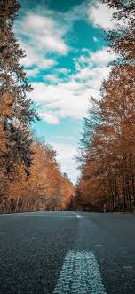 Please contact us if you want to publish a 4k nature wallpaper on our site. Wallpapers For Iphone X Hd Iphone X Wallpaper 4k Nature Download Free Hd Images And Wallpape Iphone Wallpaper Tricks Dslr Background Images Iphone Wallpaper