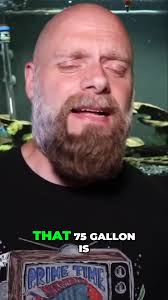 The 75 gallon fish tank makes fish keeping easier! #fishtank #fishkeeping  #aquarium