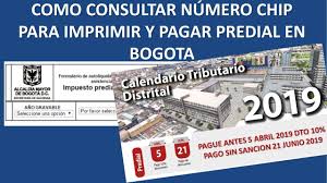 Portada impuestos impuestos territoriales por gerencie.com el impuesto predial prescribe luego de los 5 años contados desde la fecha en que el impuesto se. Como Consultar Chip Predial Y Pagar Impuesto Predial Bogota 2019 2018 2017 2016 Youtube