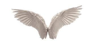 Black And White Angel Wings Png Wings Favourites By Elfablu On Deviantart Wings Png Angel Wings Png Angel Wings Photography
