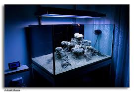 The reef style is based on live rock arrangements and often includes corals and additional marine invertebrates along with coralline algae. Reef Aquascaping Reef2reef Saltwater And Reef Aquarium Forum