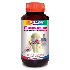 HOLISTIC WAY Glucosamine Chondroitin MSM 840mg 125 Vegetarian Capsules |  Vitamins & Supplements | Watsons Singapore