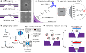 Nanopore Blockade Sensors For Ultrasensitive Detection Of