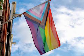 Der alyson almanach beschreibt die regenbogenflagge wie folgt: Regenbogenflagge Bedeutung Geschichte Der Pride Flag