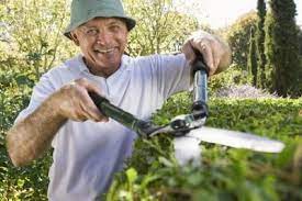 How To Trim Overgrown Bushes Shrubs Hunker Bushes Shrubs How To Trim Bushes Porch Landscaping