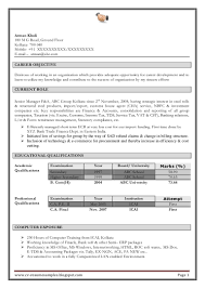 Excellent Work Experience Professional Chartered Accountant Resume Sa