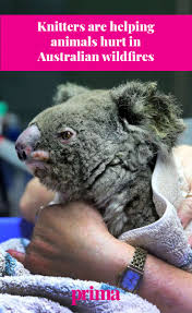 Knitters Unite Worldwide In Aid Of Australian Bush Fires Australia Animals Animal Projects Knitting For Charity