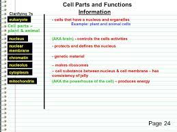 We did not find results for: Cell Parts And Functions Gaiser Life Science Know Is A Cell One Part Or Do Many Parts Make Up A Cell Explain In Complete Sentences Evidence Page Ppt Download