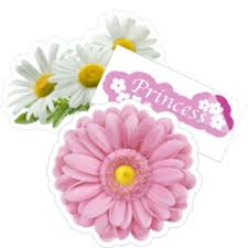 A perfect way to decorate your kitchen! Daisy Flower Car Stickers Decals Over 3 Dozen Designs