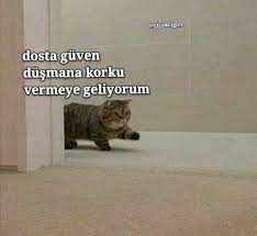 en komik sozler 2021 komik komik unluler komik seyler