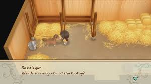 We did not find results for: Story Of Seasons Friends Of Mineral Town Tipps Tricks