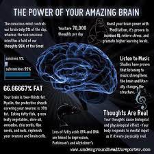 Boost Your Brain And Maximize Your Memory These Easy Tips | Greertoday.com
