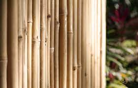 Is it possible to repair a cali bamboo fence? Maintenance Tips To Increase The Lifespan Of Bamboo Fences Amazulu