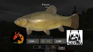 In this video, i break down the first area you will spend time on in russian fishing 4. Russian Fishing 4 Tench Spot At Old Burg Lake 2019 4k Ultra Hd