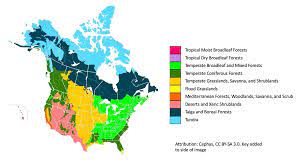 North America Biome Map Explore Habitat Hall – Msu Museum