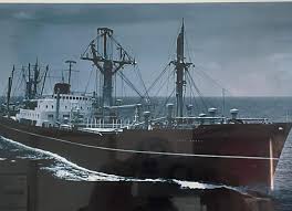 Image result for Timorbeige 1982 Fleet