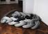 Unusual Unique Couches