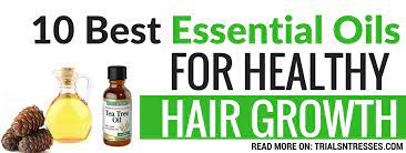 Argan oil for dry and frizzy hair. 10 Best Essential Oils For Healthy Hair Growth Millennial In Debt
