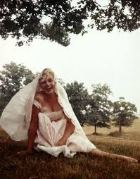 Pin By Rose Morales On Marilyn Monroe Marilyn Monroe Photos Marilyn Monroe Quotes Marilyn Monroe