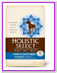 Best Dog Food For Large Breeds Puppy Feeding The Best Large Breed Puppy Food Can Significantly Lower Your Dog Food Recipes Large Breed Dog Food Best Dog Food