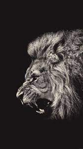 30 Wonderful Iphone 6s 6s Plus Wallpapers Lion Wallpaper Iphone Lion Wallpaper Lion Hd Wallpaper