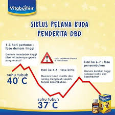 Kenali Pola Siklus Demam Berdarah Ya Bun Karena Ia Memiliki Siklus Unik Dibandingkan Demam Yang Lain Jangan Lengah Ketika Suhu Tubuh Mulai Map Map Screenshot