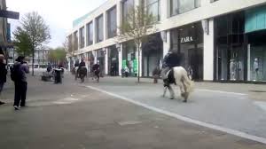 Premier inn city centre swansea has 116 rooms that are fitted with all the necessities to ensure a premier inn swansea city is located at salubrious place, wind street, 0.3 miles from the center of. Swansea City Centre Horse Racing At Swansea City Center 27 05 2015 Youtube