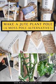 Check Out My Diy Moss Pole Alternative Using Jute Instead In 2021 Tall Potted Plants Diy Plants Monstera Plant