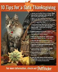 Animal care hospital of phoenix does offer emergency and urgent care services during our regular business hours. Pet Urgent Care Llc Home Facebook