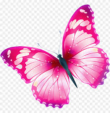 Here on free pngs you can browse and download 170,000+ free transparent png images straight to view and download 'for free' cossyimages premium png collection today. Download Butterfly Png Images Background Toppng