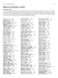 Image result for Euploca katangensis