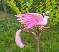 The event has taken inspiration from real life music festivals and have a boho vibe. Real Life Toy Bird Pink Feathers Phoenix Bird About 45x30cm Spreading Wings Bird Garden Decoration Prop Toy Gift H1889 Stuffed Plush Animals Aliexpress