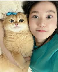 元朗失貓前晚發現既走失貓貓仍未找到主人，今天已帶他去愛協睇醫生，醫生話係屬摺耳貓品種，男仔，已絕育，年齡不詳，成年貓，醫生話佢應該係有人養開，麻煩大家住元朗大棠村幫幫手分享此post  🙏🏻🙏🏻🙏🏻🙏🏻🙏🏻貓貓性格溫馴可愛，十分痴人，希望主人快啲接走牠 ...