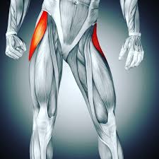 Pin On Health Fitness