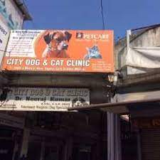 Once you have your doctor's recommendation and/or cannabis card, you can purchase medical cannabis personally from nearby dispensaries find a 420 doctor near me. Top 50 Veterinarians In Meerut Best Veterinary Doctors Book Appointment Online Justdial