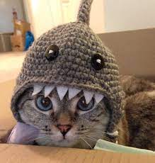 Nala Cat Trajes De Gato Ropa De Gato Disfraz Para Gato