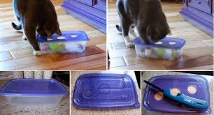 Read more best puzzle rug for cats product reviews and how to buy Diy Cat Puzzle Tutorial