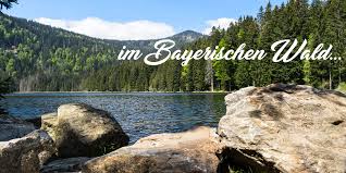 Wo der wald am schönsten ist. Urlaub Bayerischer Wald In Unseren Ferienhauser Chalets Holzblockhauser