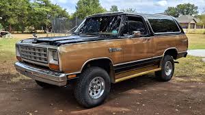 Image result for Gold Dust 1985 Dodge Truck
