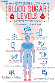 Slideshow How Blood Sugar Levels Affect Your Body Low