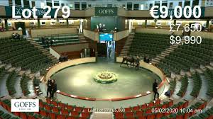 Nets stable nba live stream video in hd will be available online 15 minutes before the kickoff, if a stream goes offline, refresh the page milwaukee bucks v brooklyn nets live scores and highlights. February Sale 2020 Day 2 Youtube