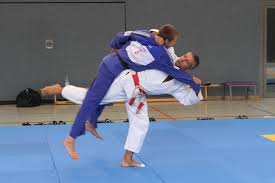 Im weiteren teil werden die erfolgreichsten judoka aufgelistet. Jugendleiterausbildung 2018 Lernen Vom Olympiasieger Deutscher Judo Bund