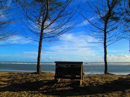 Pedigree lab activity answers / pedigree worksheet Potret Joroknya Wisata Pantai Panjang Bengkulu Realitapost Info Wisata Hits