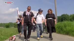Image result for no tav 1981 2021