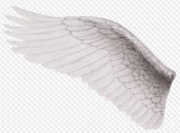 Black and white angel wings. Psd 4 Png Black And White Angel Wings On Transparent Background