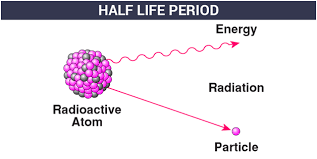 Radioactive dating is a way to figure out how old something is based on the fact that all things on earth contain certain materials that change over time. Half Life Period Radioactive Decay Mean Life Byju S
