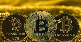 Watchlist, alerts & price levels predictions. Will Bitcoin Sv Genesis Hard Fork Cause Another Bsv Price Pump Beincrypto